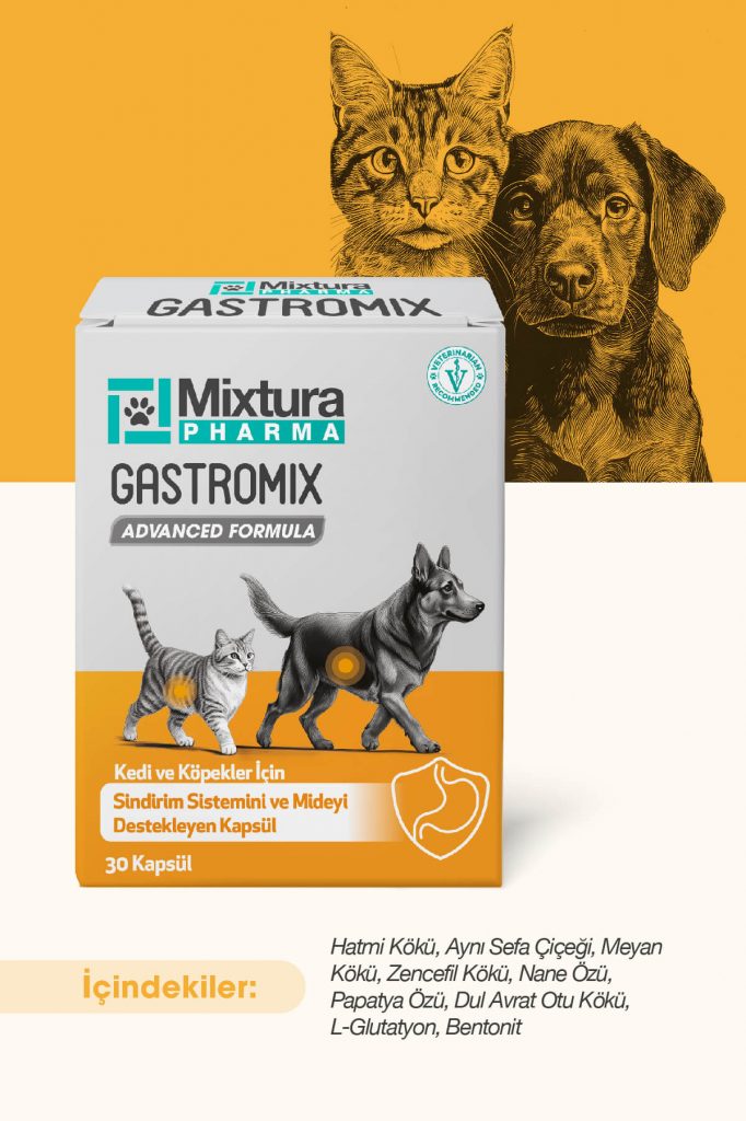 köpek ve kedi mide koruyucu sindirim sistemi düzenleyici