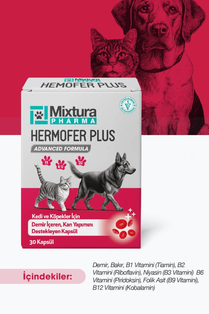 hemofer plus kedi köpek kan yapımını destekleyici, kansızlık önleyici