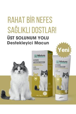 lysine kedi üst solunum yolu enfeksiyonu tedavisinde destekleyici kedi maltı macunu