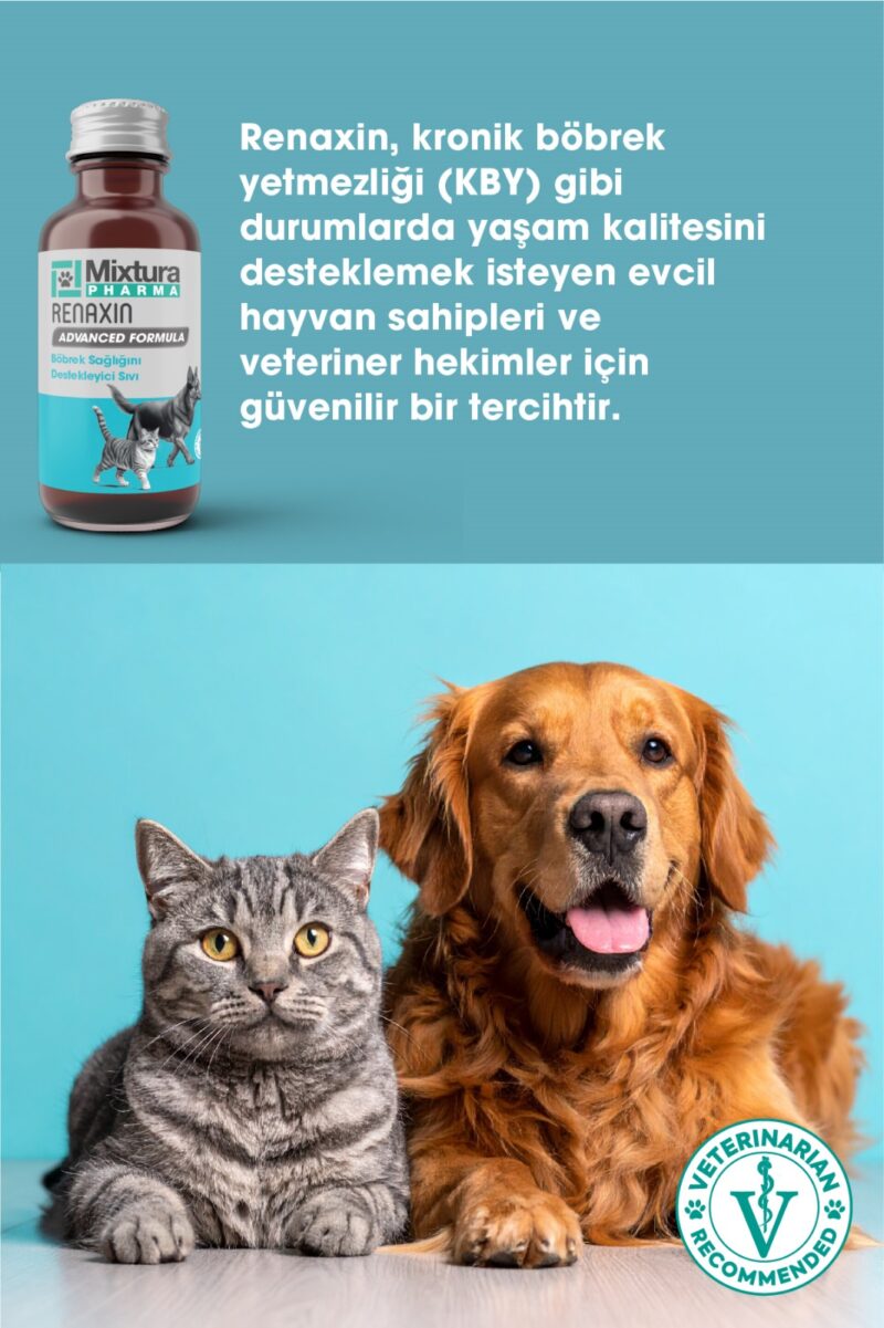 Mixtura Pharma Renaxin Advenced Formula Böbrek Sağlığını Destekleyici Toz - Görsel 2