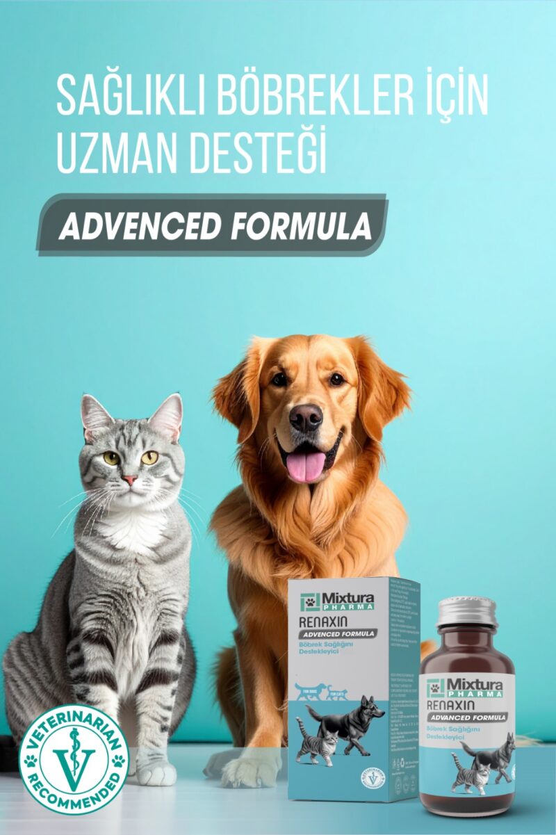 Mixtura Pharma Renaxin Advenced Formula Böbrek Sağlığını Destekleyici Toz - Görsel 3