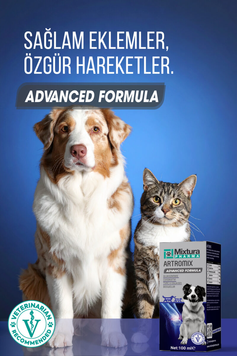 Artromix Eklem ve Kemik Sağlığını Destekleyici Sıvı - Görsel 4