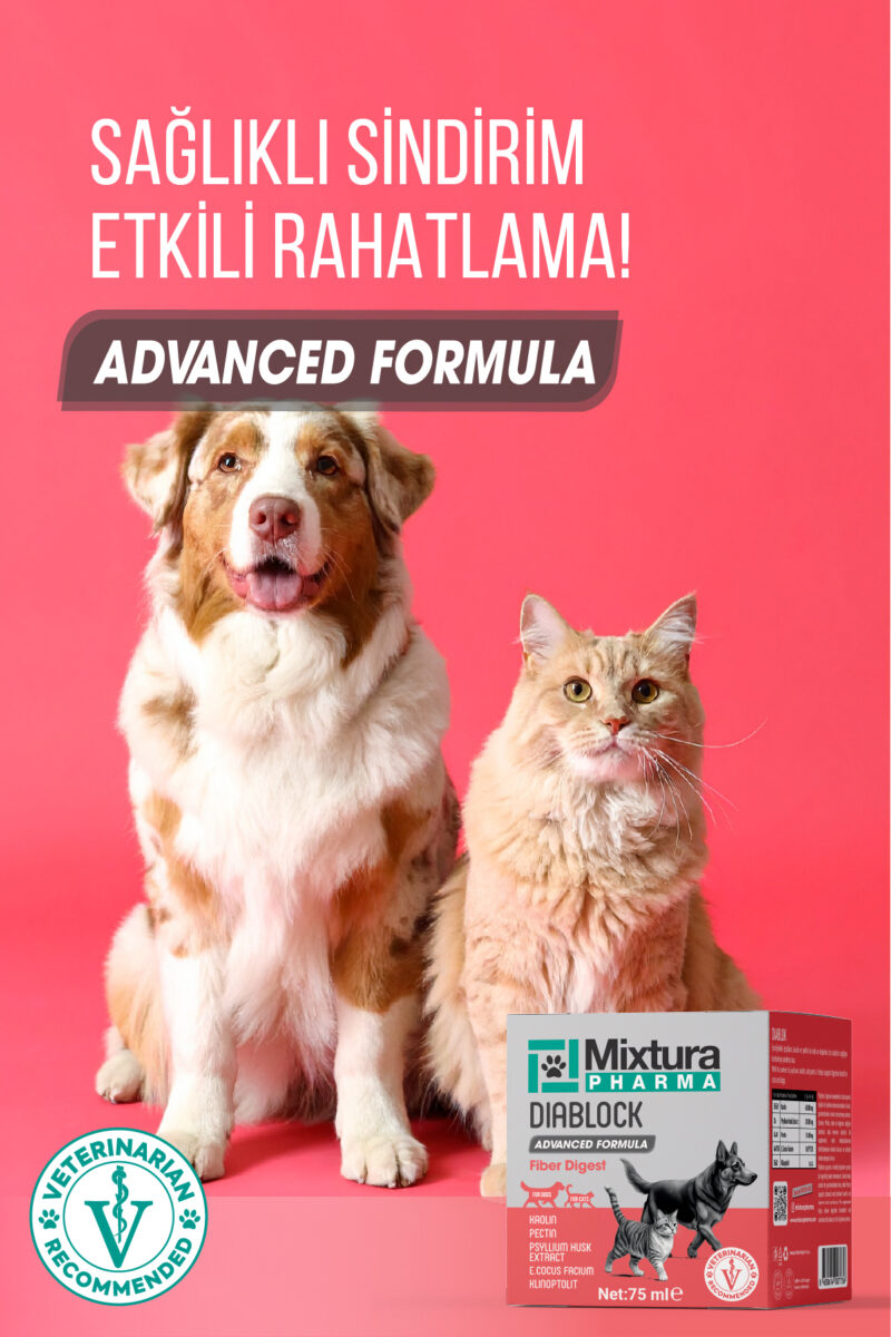 Diablock Kedi ve Köpek İshal Kesici Toz - Görsel 4