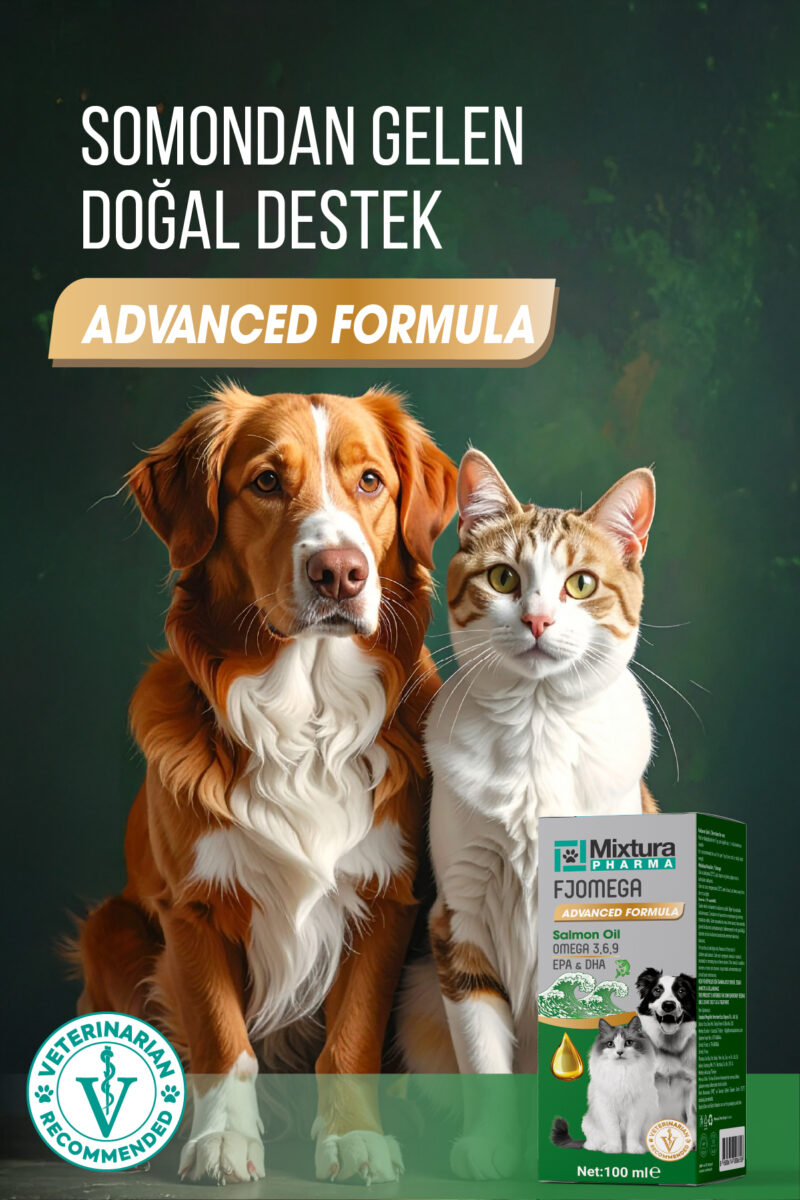 Fjomega Kedi ve Köpek Somon Yağı - Görsel 4