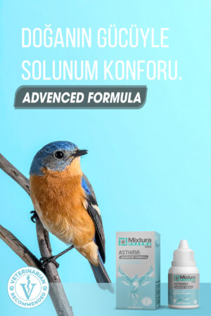 MİXTURA PHARMA BİRD ASTHMA