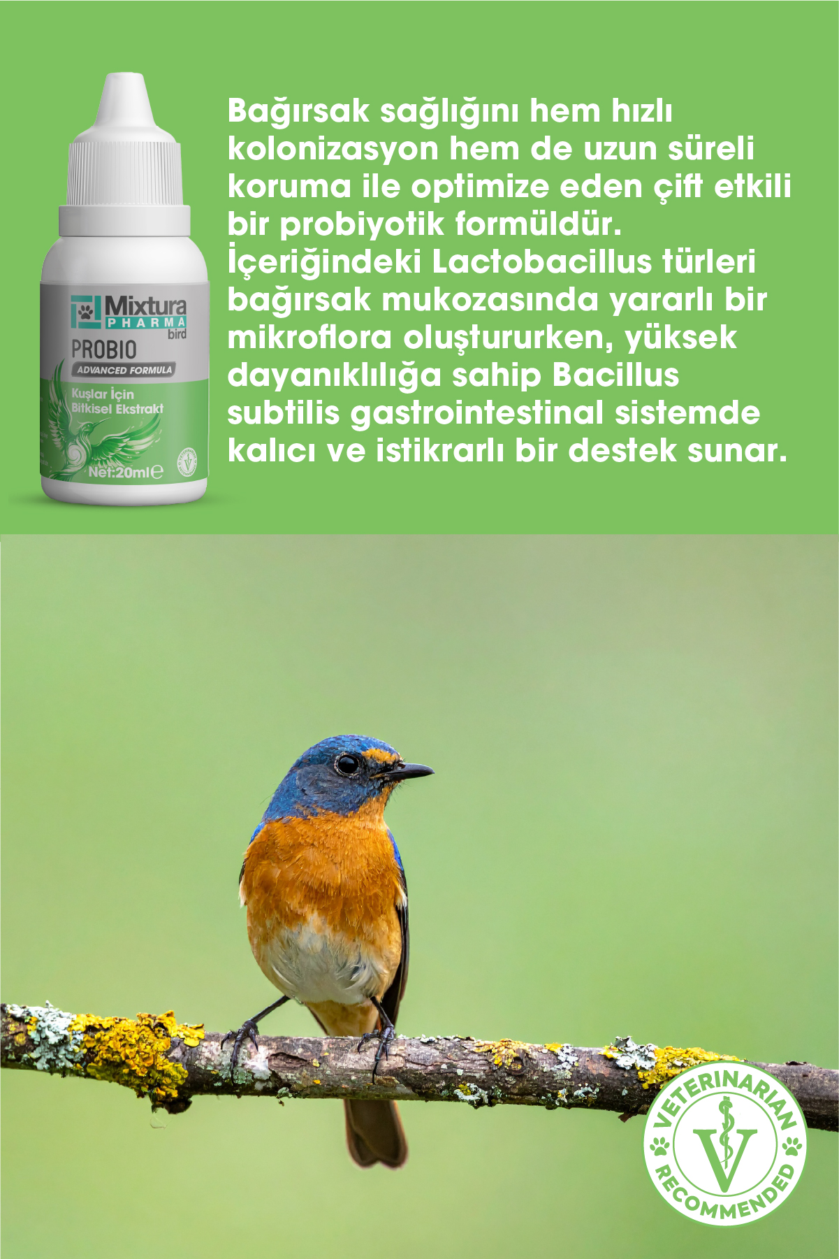 MİXTURA PHARMA BİRD PROBIO - Görsel 2