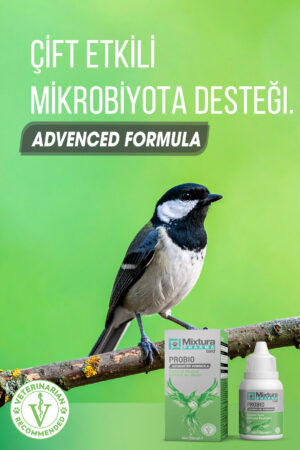 MİXTURA PHARMA BİRD PROBIO