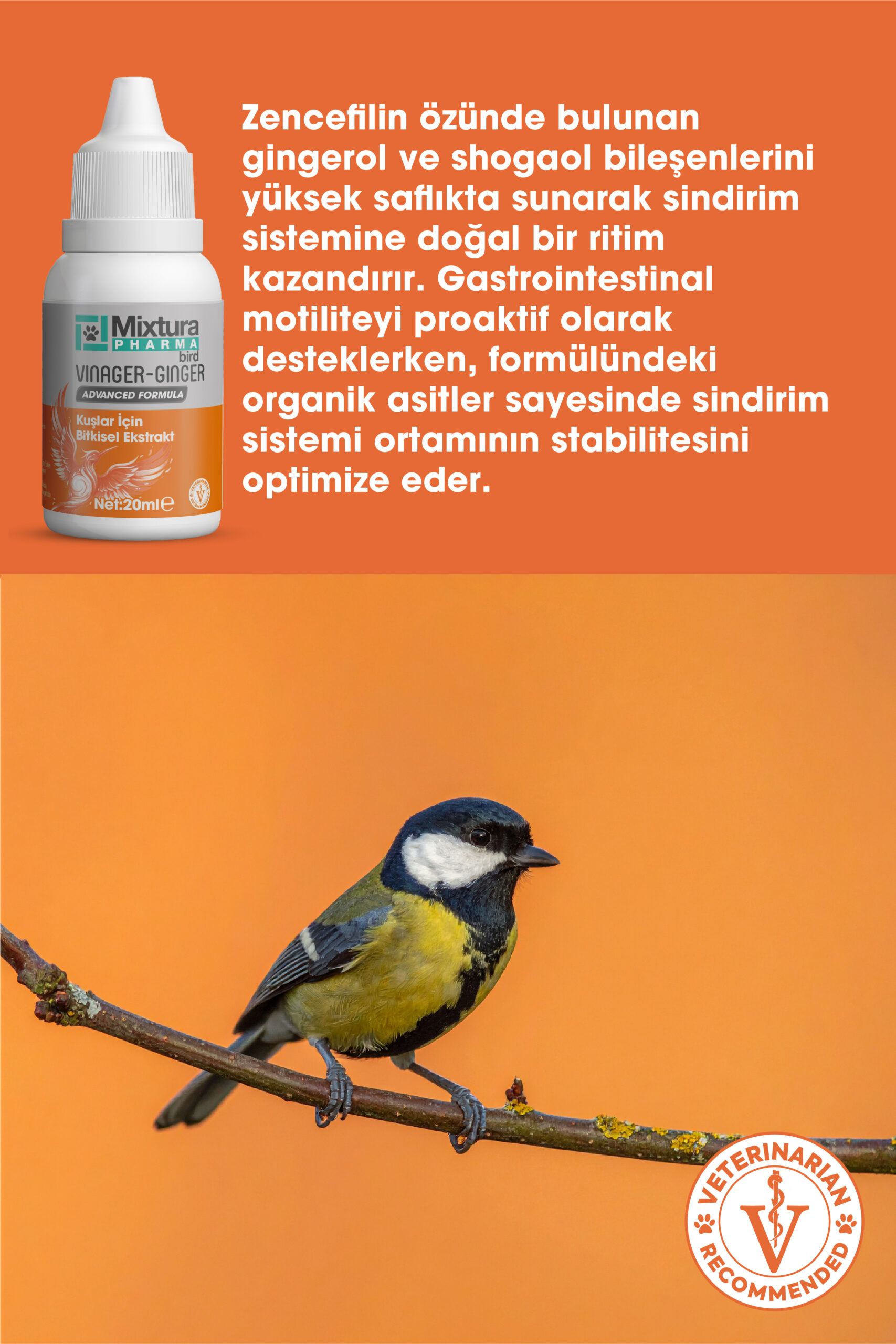 MİXTURA PHARMA BİRD VINAGER-GINGER - Görsel 3