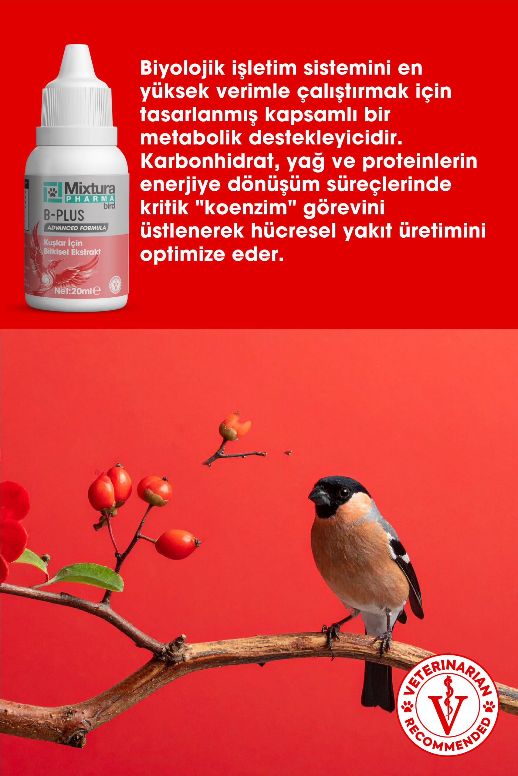 MİXTURA PHARMA BİRD B-PLUS - Görsel 2
