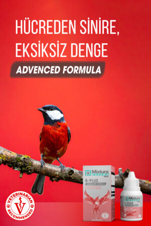 MİXTURA PHARMA BİRD B-PLUS