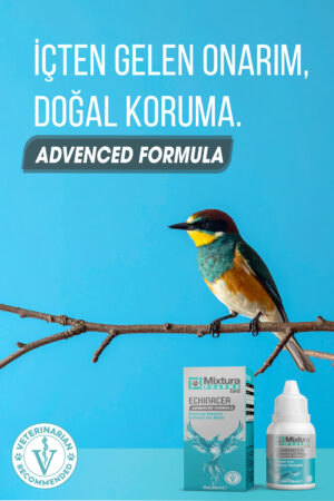 MİXTURA PHARMA BİRD ECHINACEA