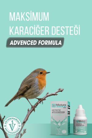 MİXTURA PHARMA BİRD HEPATİC