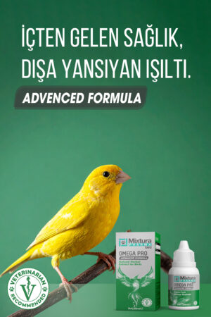 MİXTURA PHARMA BİRD OMEGA PRO