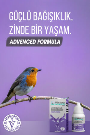 MİXTURA PHARMA BİRD SAMBUCUS