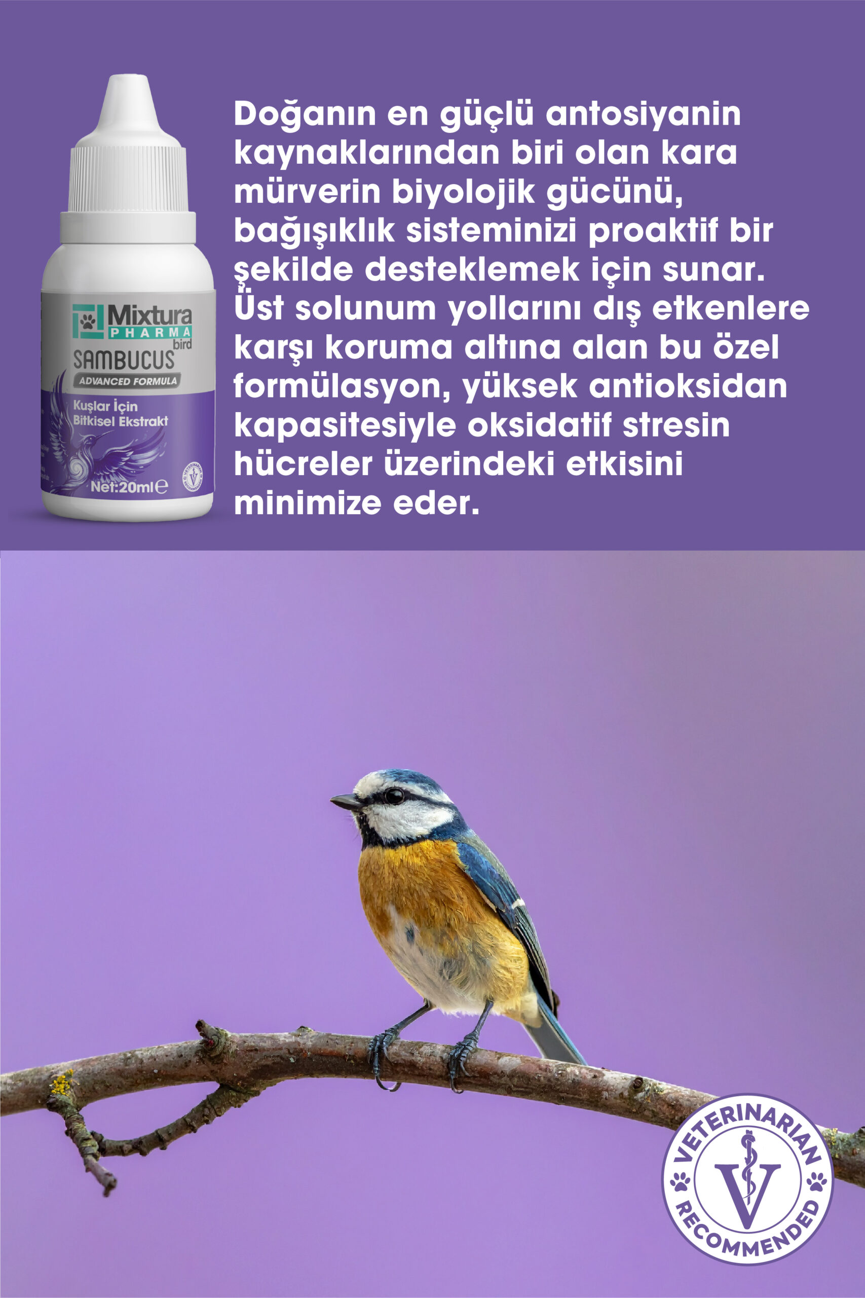 MİXTURA PHARMA BİRD SAMBUCUS - Görsel 3