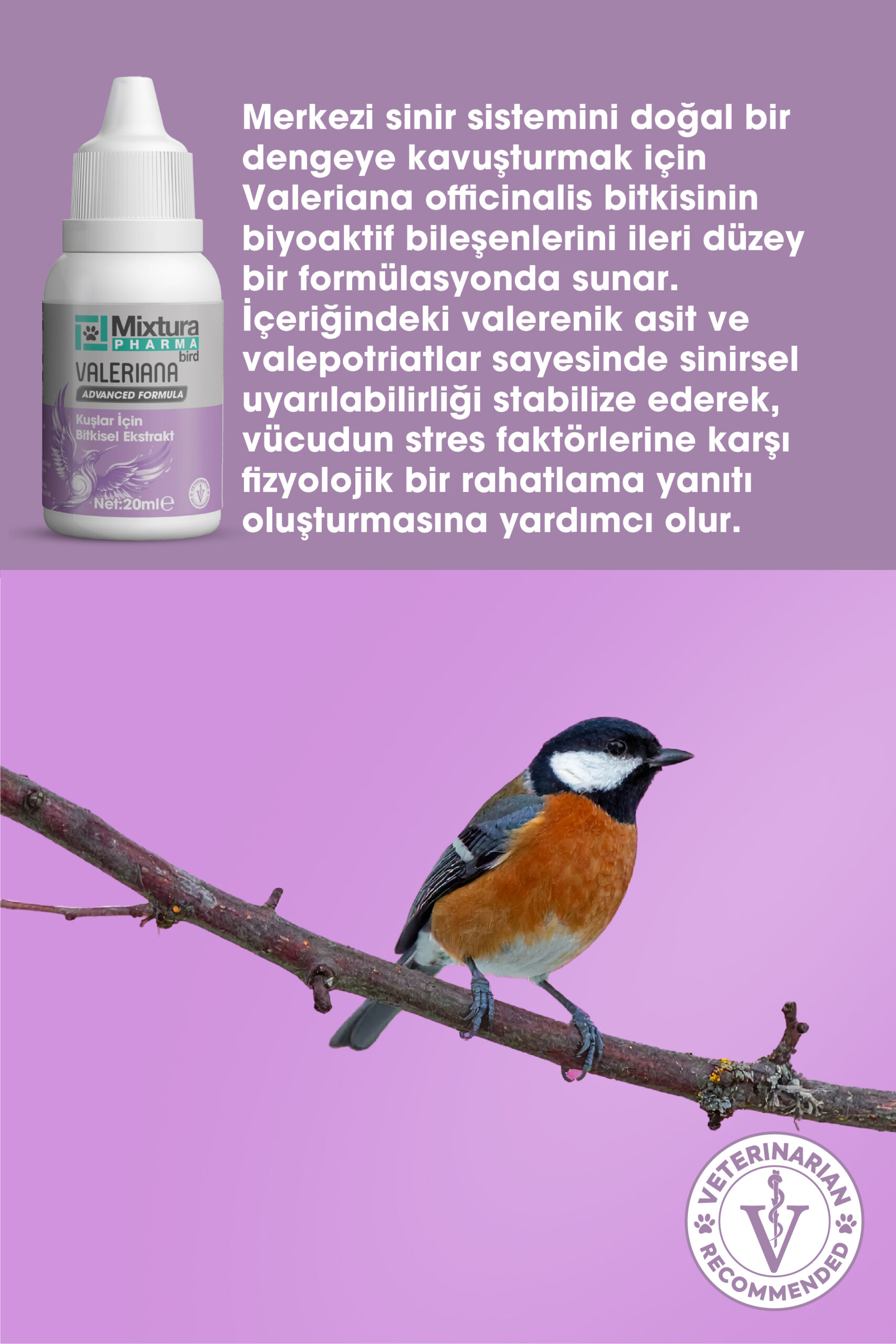 MİXTURA PHARMA BİRD VALERIANA - Görsel 3